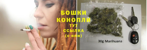 прущие крисы Абаза