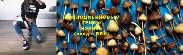 прущие крисы Абаза