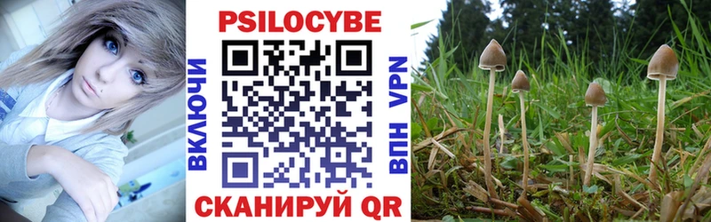 мориарти Telegram  хочу   Чебаркуль  Псилоцибиновые грибы Psilocybe 