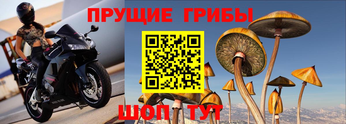 Галлюциногенные грибы MAGIC MUSHROOMS Чебаркуль